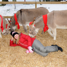 Markt Gai__au 12_12_201010_jpg-1292170090.jpg