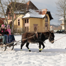 Markt Gai__au 12_12_201028_jpg-1292170251.jpg