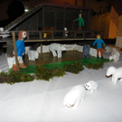 108_1163_jpg-1292177514