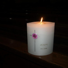 DSC04633.JPG