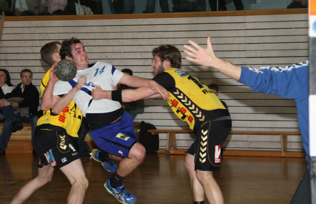 titel handball hintringer florian_jpg-1292187903