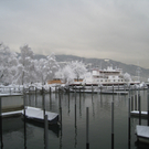Winter am See _1__jpg-1292190071