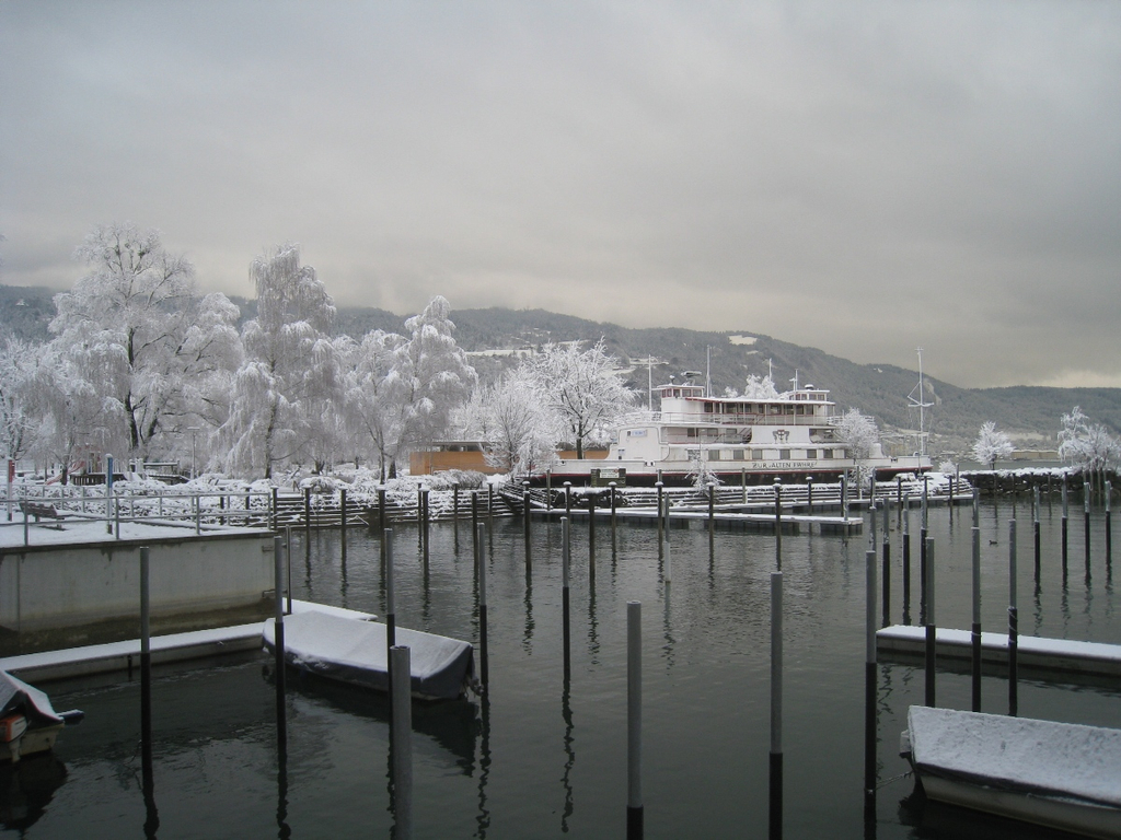 Winter am See _1__jpg-1292190071
