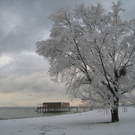 Winter am See _6__jpg-1292190134