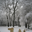 Winter am See _32__jpg-1292190486