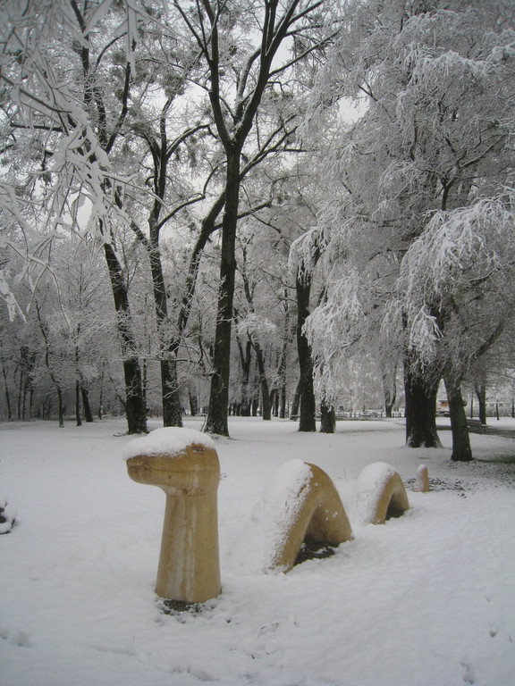 Winter am See _32__jpg-1292190486
