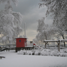 Winter am See _20__jpg-1292190306