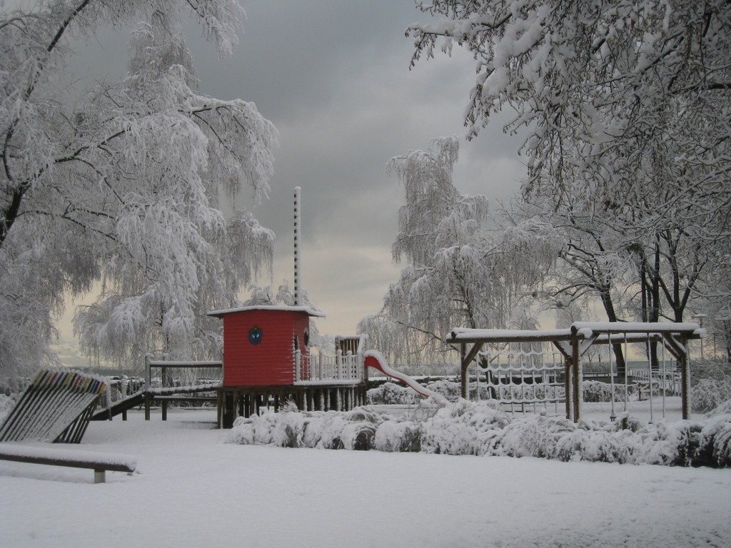 Winter am See _20__jpg-1292190306