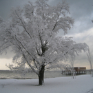 Winter am See _5__jpg-1292190120