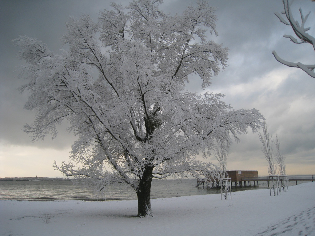 Winter am See _5__jpg-1292190120