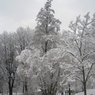 Winter am See _22__jpg-1292190339