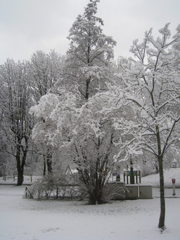 Winter am See _22__jpg-1292190339