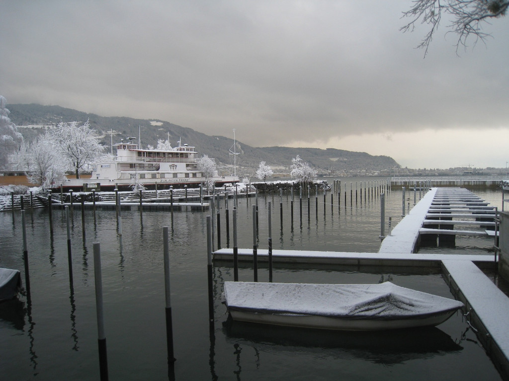 Winter am See _2__jpg-1292190082