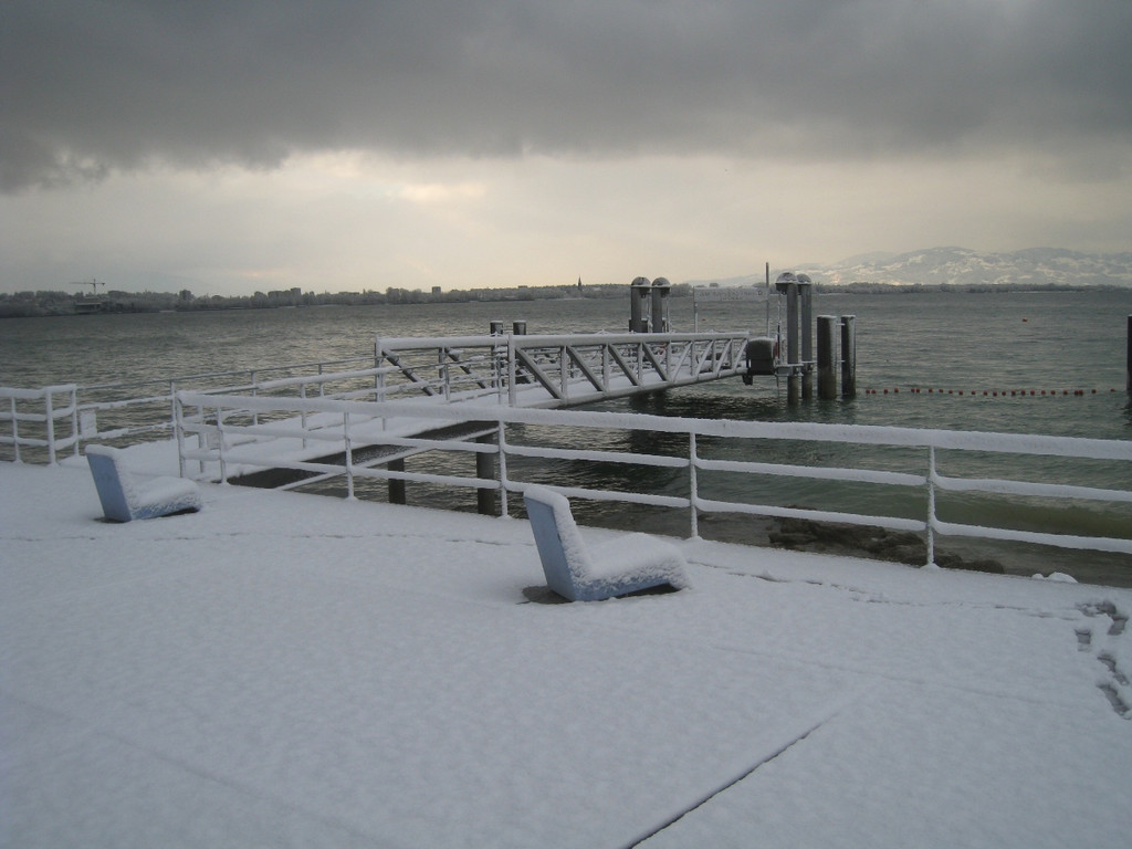 Winter am See _13__jpg-1292190219