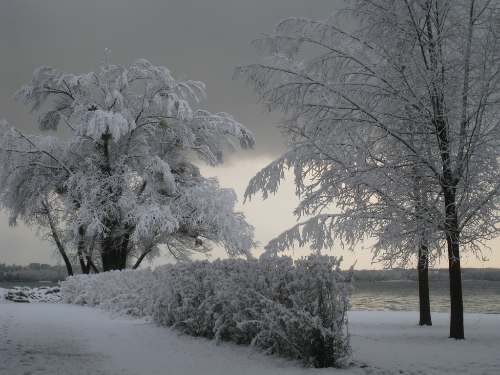 Winter am See _27__jpg-1292190418
