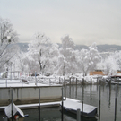 Winter am See _3__jpg-1292190095