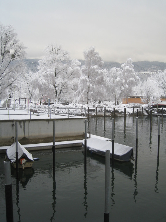 Winter am See _3__jpg-1292190095
