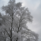 Winter am See _23__jpg-1292190356