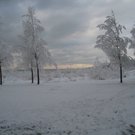 Winter am See _30__jpg-1292190459