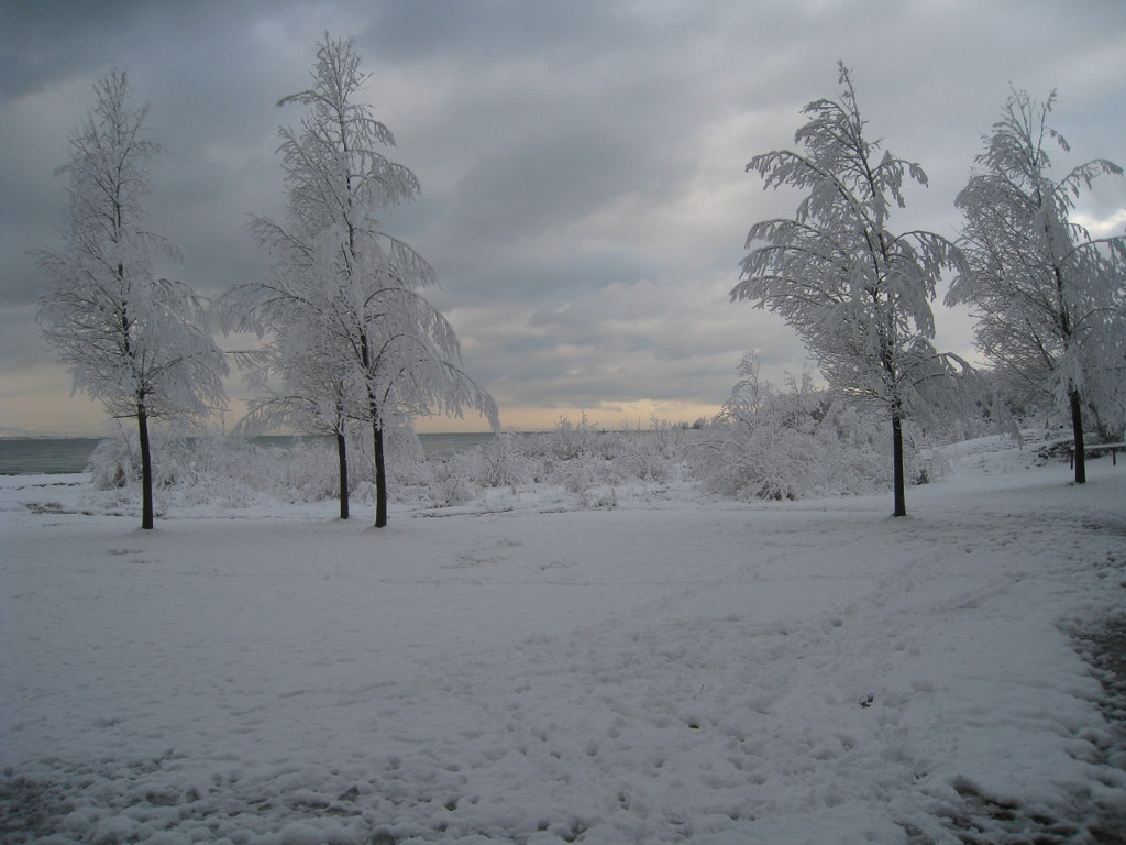 Winter am See _30__jpg-1292190459