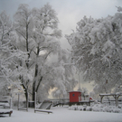 Winter am See _19__jpg-1292190292