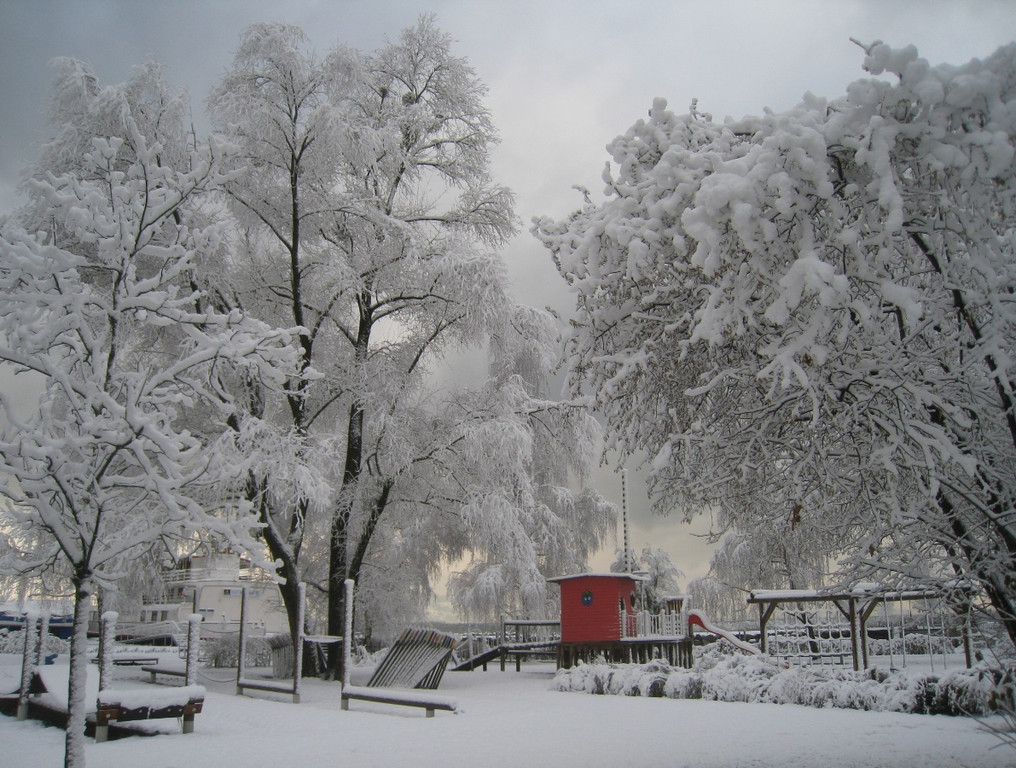 Winter am See _19__jpg-1292190292