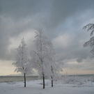 Winter am See _31__jpg-1292190469