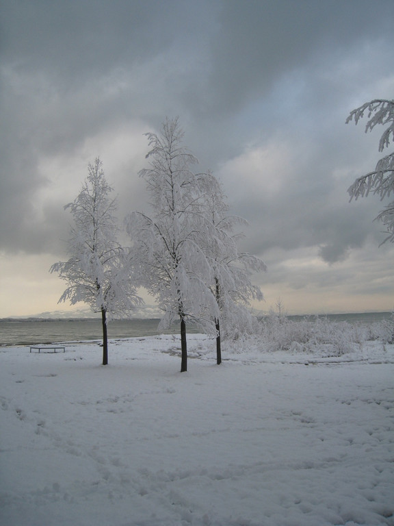 Winter am See _31__jpg-1292190469