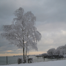 Winter am See _16__jpg-1292190250
