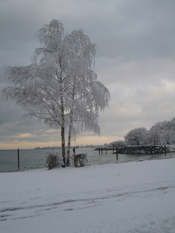 Winter am See _16__jpg-1292190250