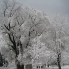 Winter am See _8__jpg-1292190165