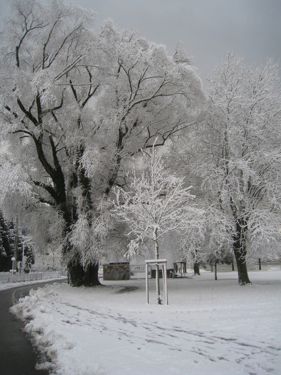 Winter am See _8__jpg-1292190165