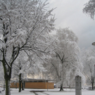 Winter am See _17__jpg-1292190266