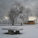 Winter am See _18__jpg-1292190276