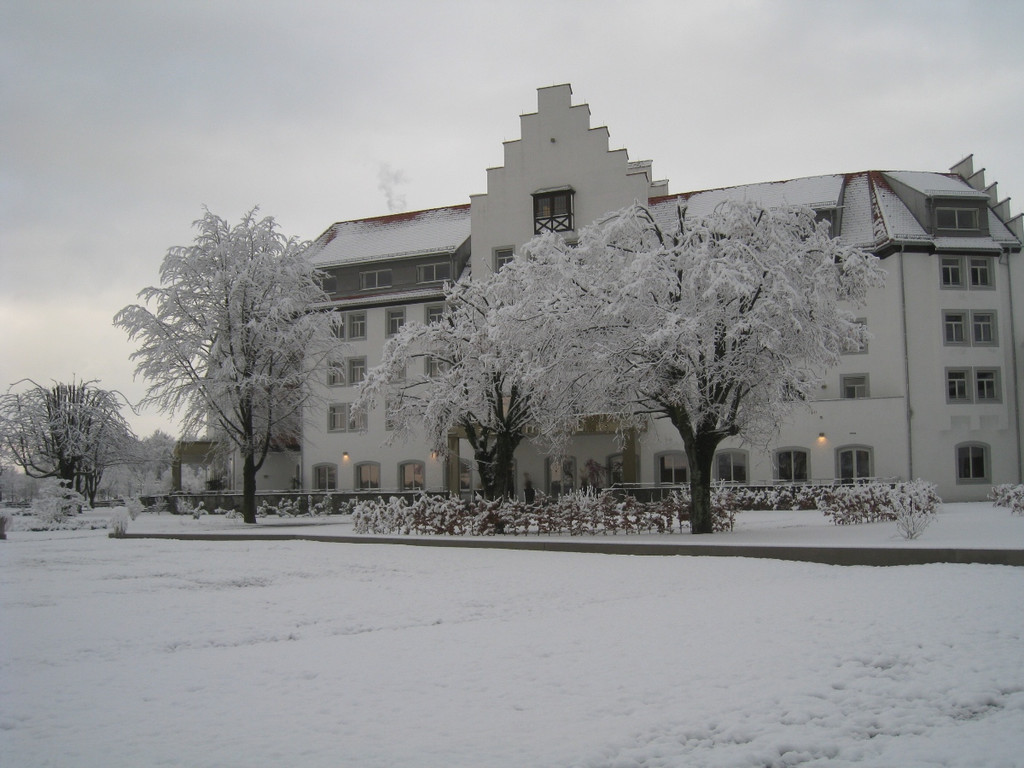 Winter am See _11__jpg-1292190198