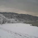 Winter am See _10__jpg-1292190187