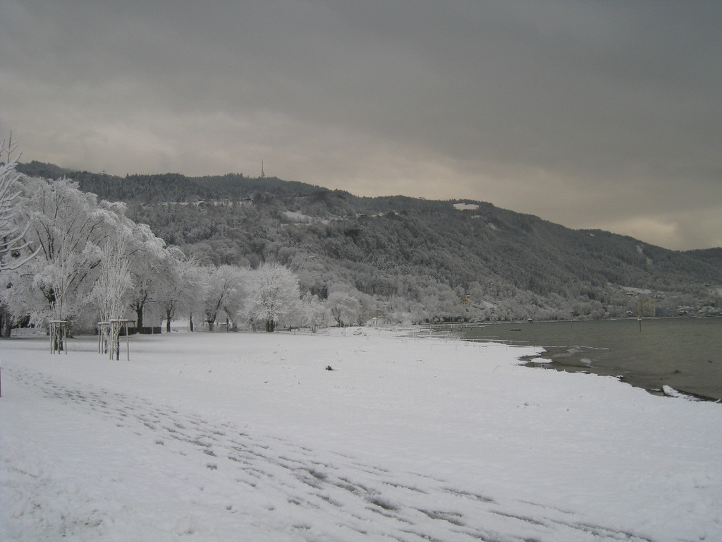 Winter am See _10__jpg-1292190187