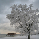 Winter am See _7__jpg-1292190148