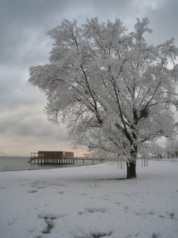 Winter am See _7__jpg-1292190148