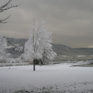 Winter am See _33__jpg-1292190497
