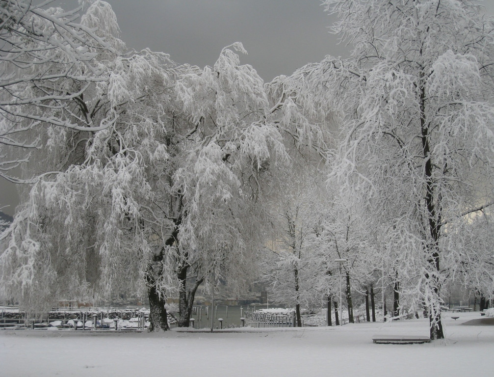 Winter am See _21__jpg-1292190322
