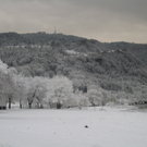 Winter am See _9__jpg-1292190177
