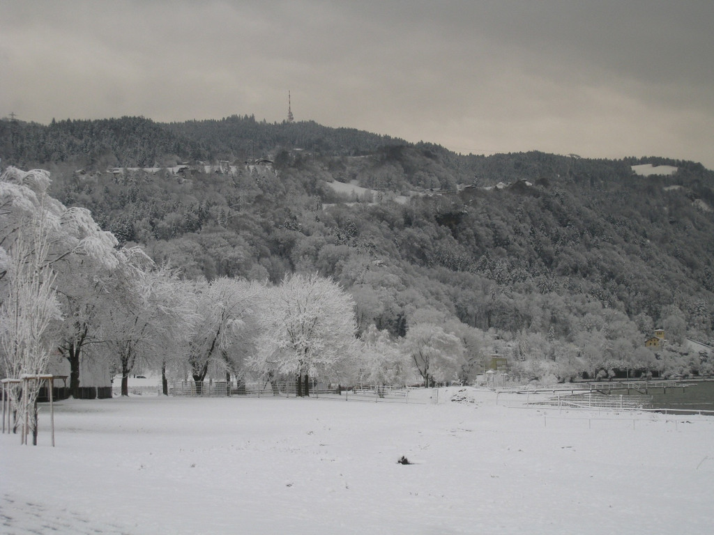 Winter am See _9__jpg-1292190177