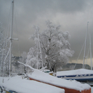 Winter am See _4__jpg-1292190107