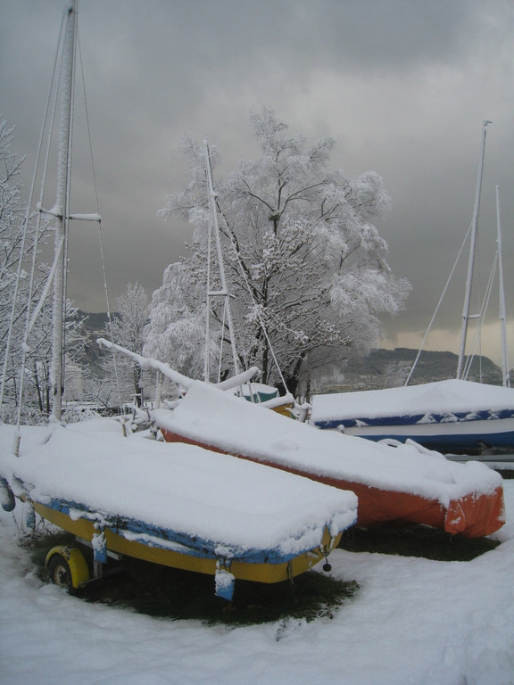Winter am See _4__jpg-1292190107