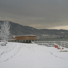 Winter am See _14__jpg-1292190229