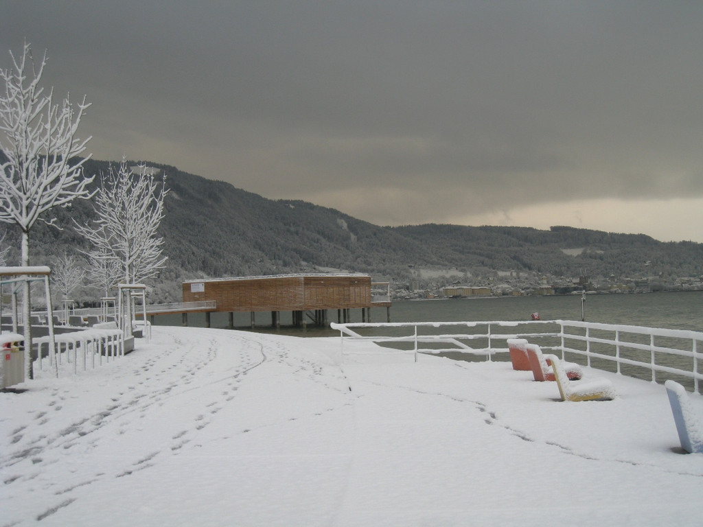 Winter am See _14__jpg-1292190229