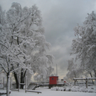 Winter am See _24__jpg-1292190369