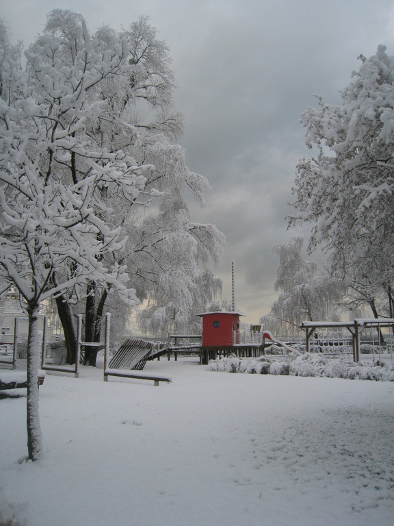 Winter am See _24__jpg-1292190369