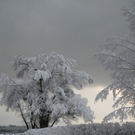Winter am See _26__jpg-1292190404